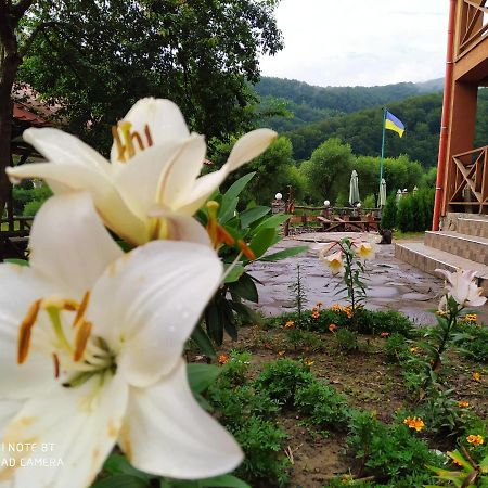 Bilovoddya Hotel Sil エクステリア 写真