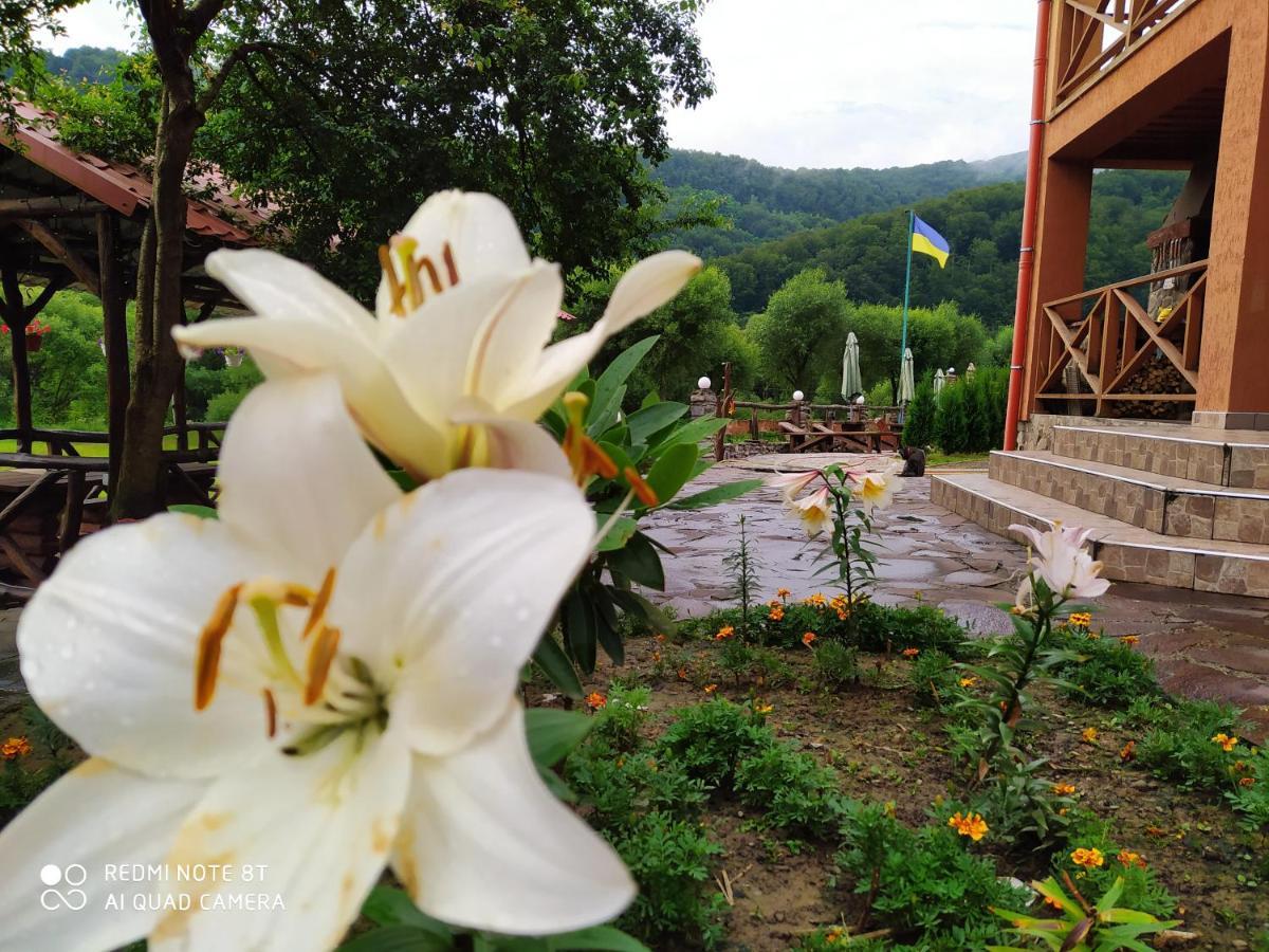 Bilovoddya Hotel Sil エクステリア 写真
